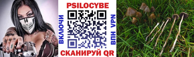 Псилоцибиновые грибы прущие грибы  Электросталь 